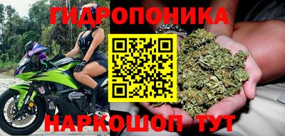гашик Апрелевка